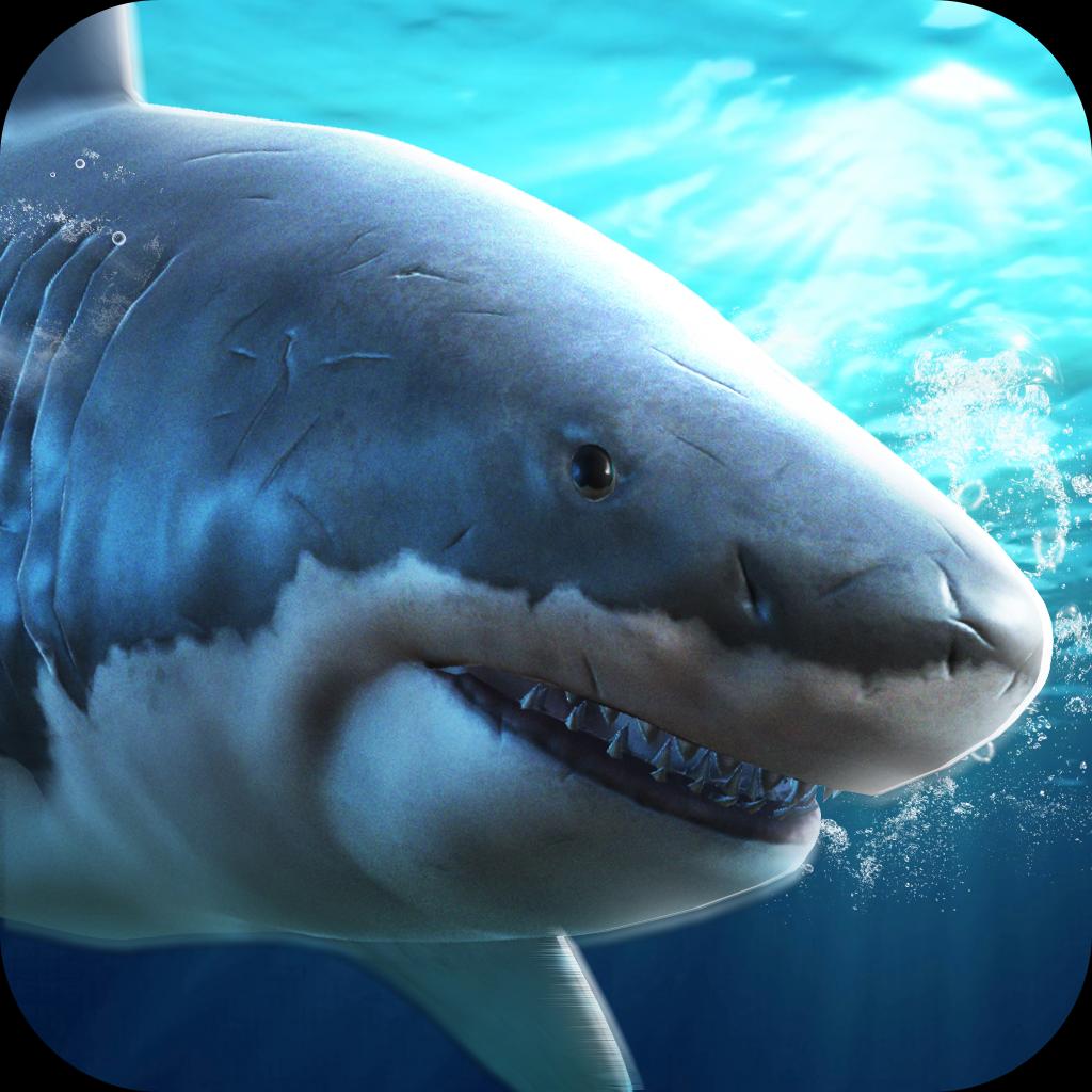 真实模拟鲨鱼捕食 免费版