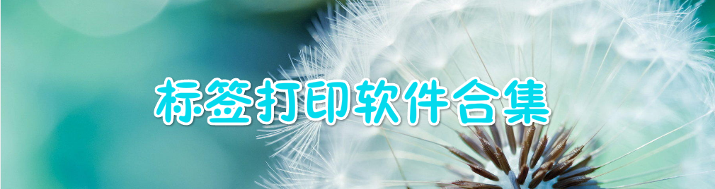 标签打印软件合集 onerror=