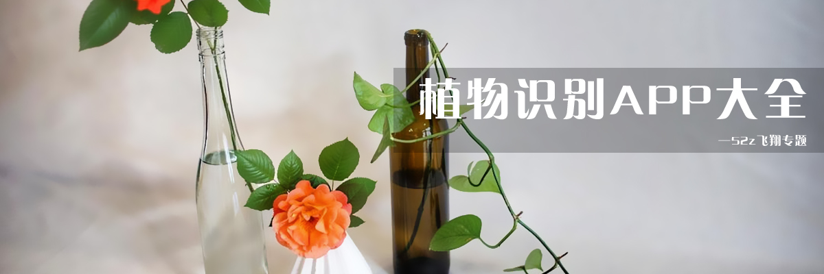 【植物识别app】植物识别app哪个好_免费植物