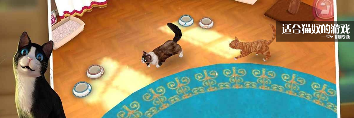 适合猫奴的游戏 onerror=