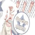 加查之夜正版