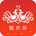 中国婚博会app