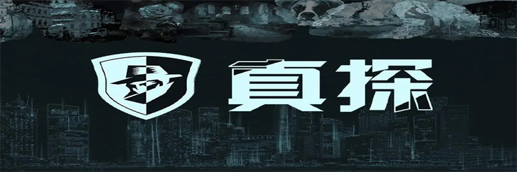 真探