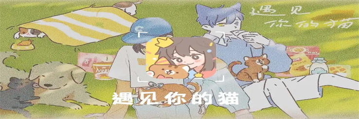 遇见你的猫