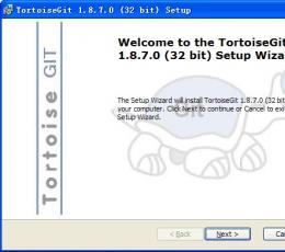 tortoisegit(git图形化软件) V1.8.7.0 官方中文版