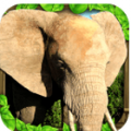 大象模拟器 V1.2 安卓版