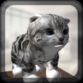 猫猫模拟(Cat Simulator) V1.2.0 安卓版