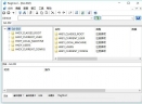 RegCool(高级注册表编辑器)V1.063 中文绿色版