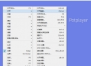 PotPlayer播放器v1.7.11456 绿色中文版