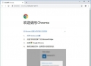 Chrome浏览器测试版V70.0.3538.22 官方版