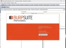 Burpsuite ProV1.7.35 免费版