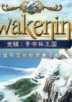 觉醒3：精灵王国 中文版 