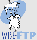 WISE-FTP(FTP服务器) V9.0.2 电脑版