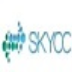 文章伪原创工具(skycc) V1.0 绿色版