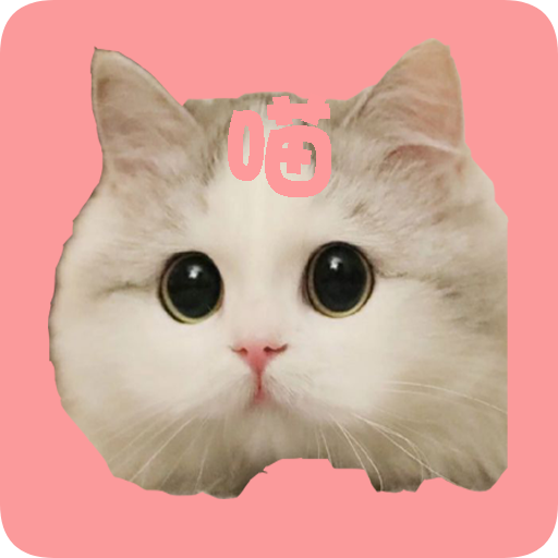 爱猫咪 V1.0 安卓版