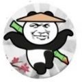 愤怒的熊猫人 V1.0 安卓版