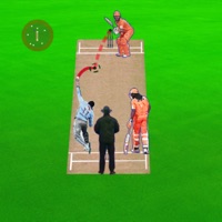 玩现场板球 v1.0 苹果版