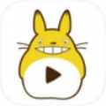 龙猫直播 v3.2.0.530 免费版