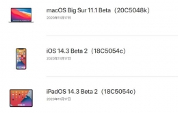 苹果IOS 14.3 Beta2适配机型/设备一览