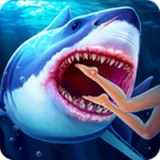 狩猎鲨鱼模拟器游戏下载-狩猎鲨鱼模拟器中文版下载V1.0.0